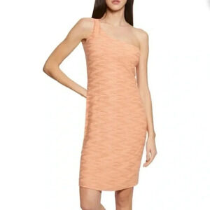 Walter Baker Peach One-shoulder Ribbed Knit Sheath Dress Women’s Size Large L